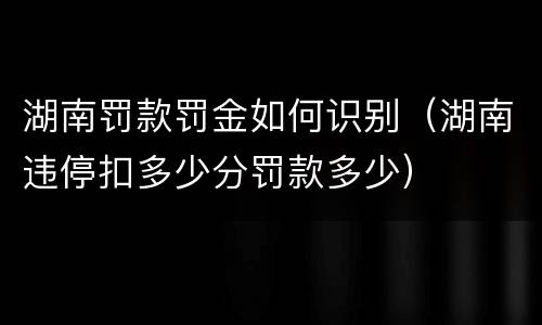 湖南罚款罚金如何识别（湖南违停扣多少分罚款多少）