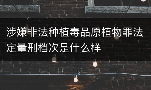 涉嫌非法种植毒品原植物罪法定量刑档次是什么样