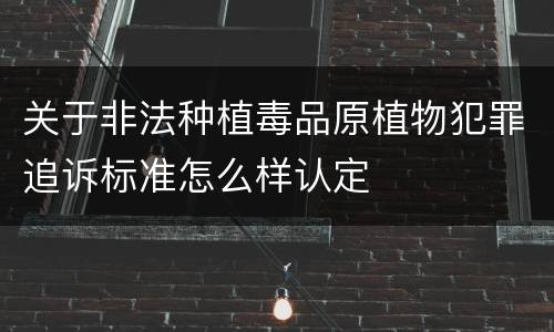 关于非法种植毒品原植物犯罪追诉标准怎么样认定