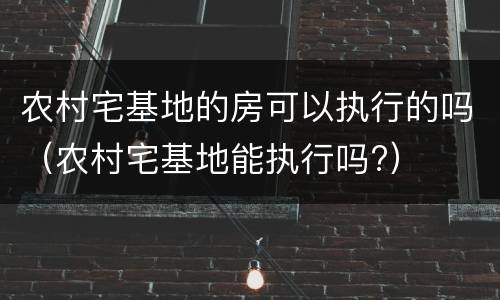 农村宅基地的房可以执行的吗（农村宅基地能执行吗?）