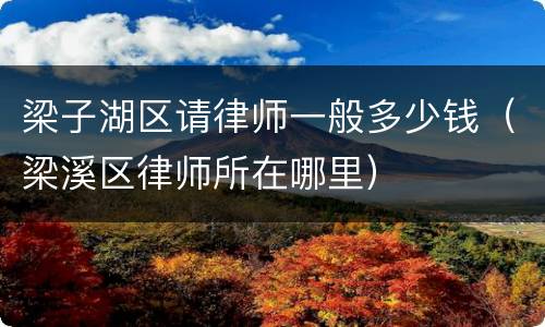 梁子湖区请律师一般多少钱（梁溪区律师所在哪里）