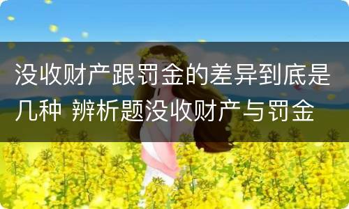 没收财产跟罚金的差异到底是几种 辨析题没收财产与罚金