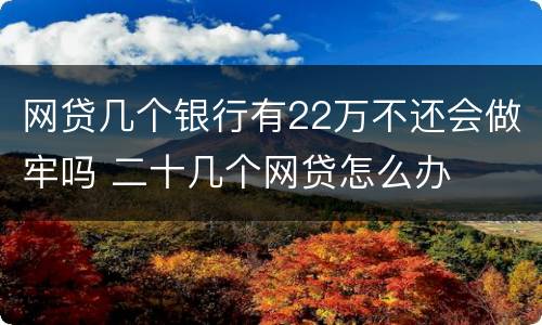 网贷几个银行有22万不还会做牢吗 二十几个网贷怎么办