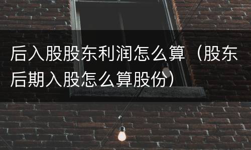后入股股东利润怎么算（股东后期入股怎么算股份）