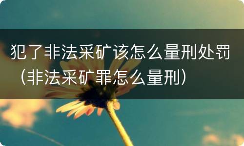 犯了非法采矿该怎么量刑处罚（非法采矿罪怎么量刑）