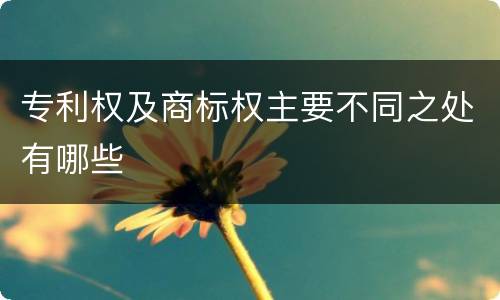 专利权及商标权主要不同之处有哪些