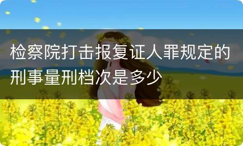 检察院打击报复证人罪规定的刑事量刑档次是多少