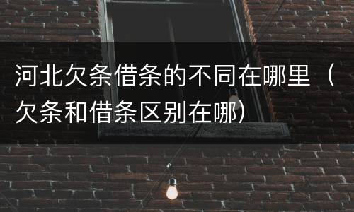 河北欠条借条的不同在哪里（欠条和借条区别在哪）