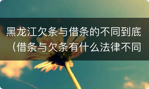 黑龙江欠条与借条的不同到底（借条与欠条有什么法律不同依据）