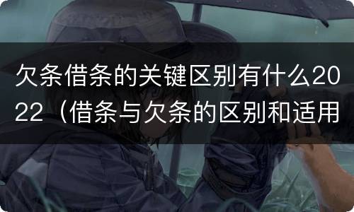 欠条借条的关键区别有什么2022（借条与欠条的区别和适用要点）
