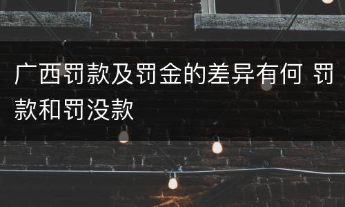 广西罚款及罚金的差异有何 罚款和罚没款