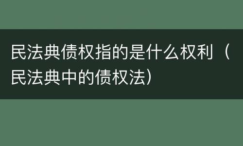 民法典债权指的是什么权利（民法典中的债权法）