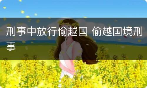 刑事中放行偷越国 偷越国境刑事