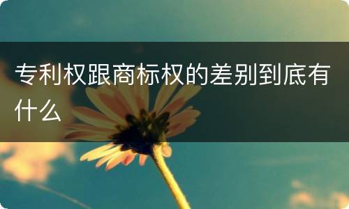 专利权跟商标权的差别到底有什么