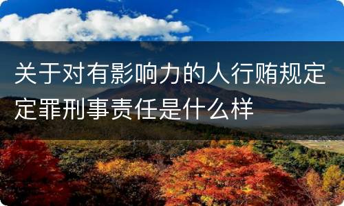 关于对有影响力的人行贿规定定罪刑事责任是什么样