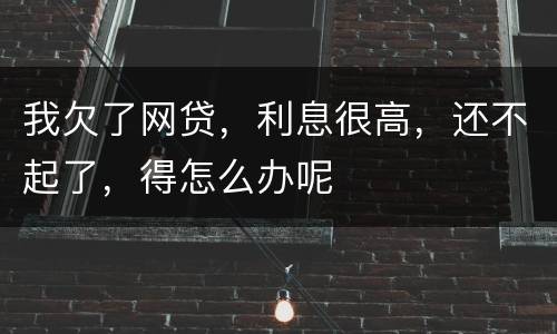 我欠了网贷，利息很高，还不起了，得怎么办呢