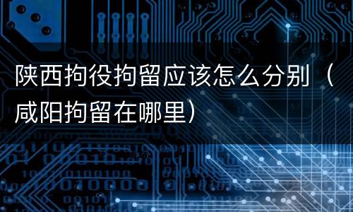 陕西拘役拘留应该怎么分别（咸阳拘留在哪里）