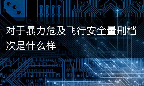 对于暴力危及飞行安全量刑档次是什么样