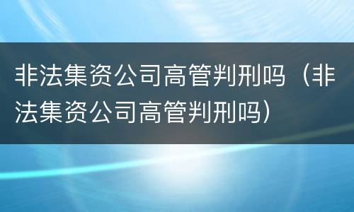 非法集资公司高管判刑吗（非法集资公司高管判刑吗）