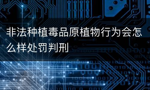 非法种植毒品原植物行为会怎么样处罚判刑