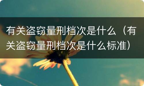 有关盗窃量刑档次是什么（有关盗窃量刑档次是什么标准）