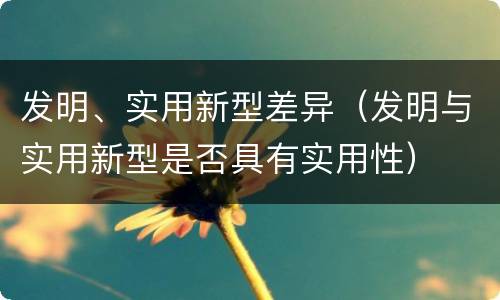 发明、实用新型差异（发明与实用新型是否具有实用性）