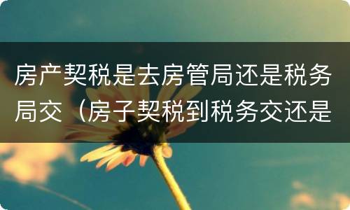 房产契税是去房管局还是税务局交（房子契税到税务交还是房管局）