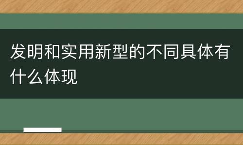 发明和实用新型的不同具体有什么体现