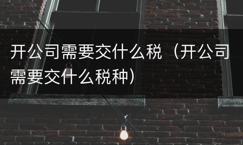 开公司需要交什么税（开公司需要交什么税种）