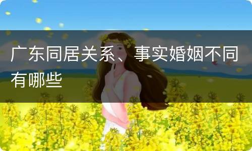 广东同居关系、事实婚姻不同有哪些