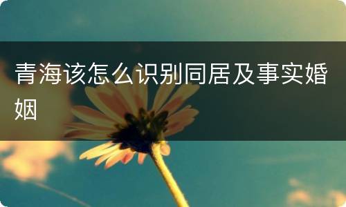 青海该怎么识别同居及事实婚姻