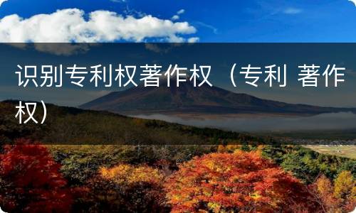 识别专利权著作权（专利 著作权）