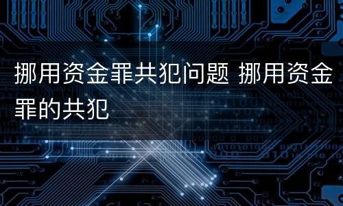 挪用资金罪共犯问题 挪用资金罪的共犯