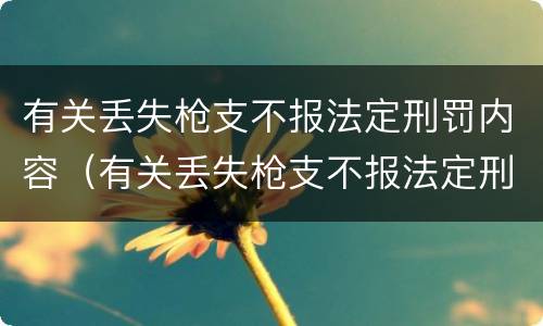 有关丢失枪支不报法定刑罚内容（有关丢失枪支不报法定刑罚内容的案例）