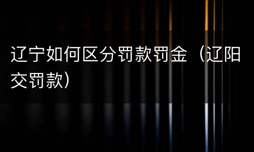 辽宁如何区分罚款罚金(辽阳交罚款)