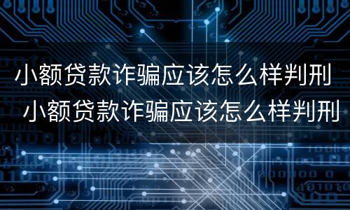 小额贷款诈骗应该怎么样判刑 小额贷款诈骗应该怎么样判刑案例