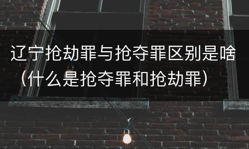 辽宁抢劫罪与抢夺罪区别是啥（什么是抢夺罪和抢劫罪）