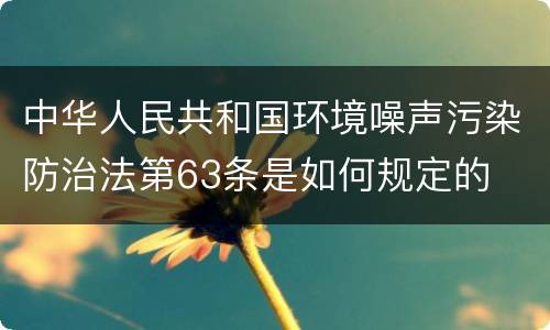 中华人民共和国环境噪声污染防治法第63条是如何规定的