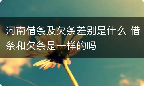 河南借条及欠条差别是什么 借条和欠条是一样的吗