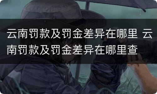 云南罚款及罚金差异在哪里 云南罚款及罚金差异在哪里查