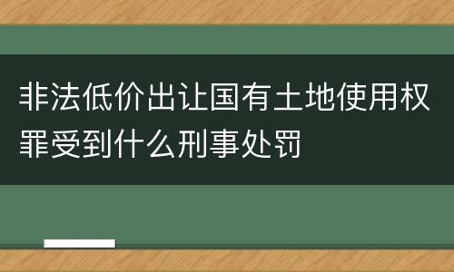 非法低价出让国有土地使用权罪受到什么刑事处罚