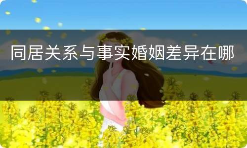 同居关系与事实婚姻差异在哪