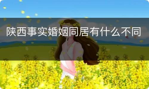 陕西事实婚姻同居有什么不同