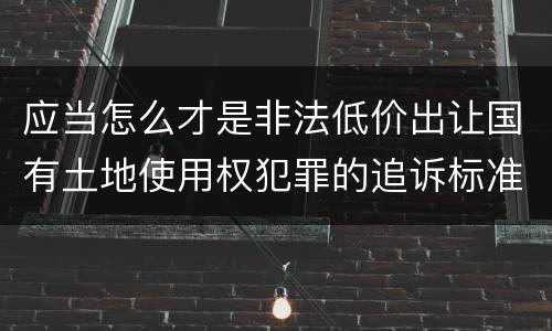 应当怎么才是非法低价出让国有土地使用权犯罪的追诉标准