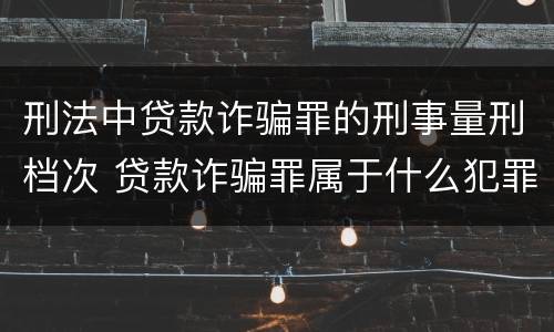 刑法中贷款诈骗罪的刑事量刑档次 贷款诈骗罪属于什么犯罪类型