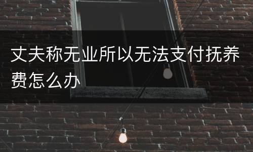 丈夫称无业所以无法支付抚养费怎么办