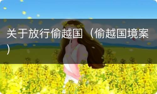 关于放行偷越国（偷越国境案）
