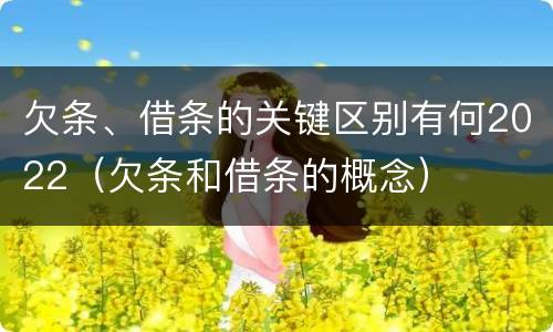 欠条、借条的关键区别有何2022（欠条和借条的概念）