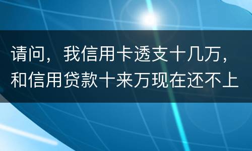 请问，我信用卡透支十几万，和信用贷款十来万现在还不上了。情节严重会咋样，怎么判刑