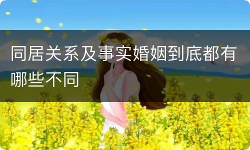 同居关系及事实婚姻到底都有哪些不同